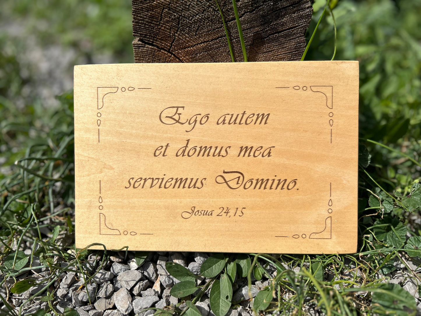 Ja i moj dom, natpis na drvu, latinski